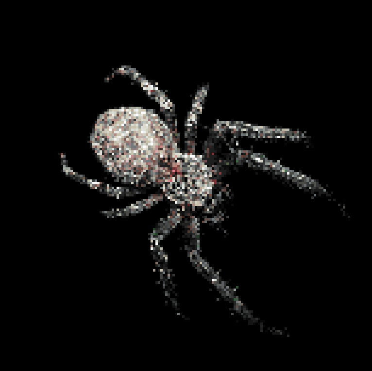 Spider